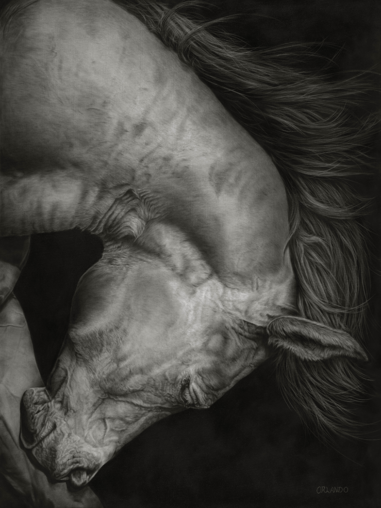 A detailed black and white portrait of a horse's head with flowing mane.