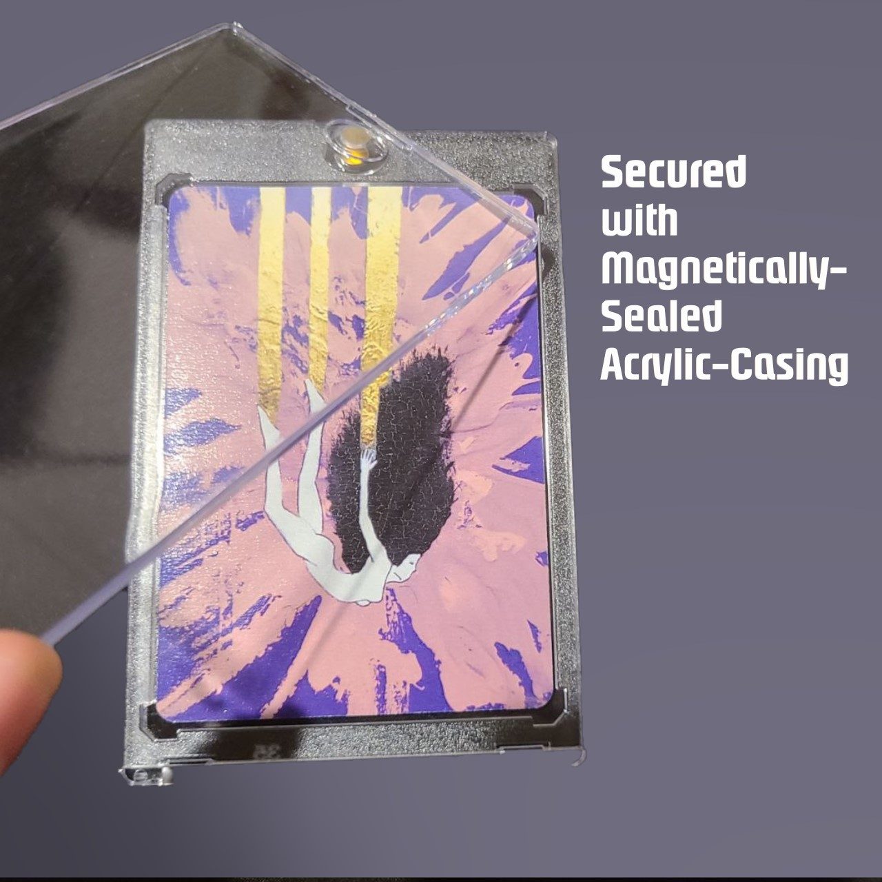 Secured with magnetically sealed acrylic casing to protect your minicuration