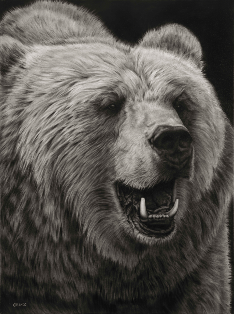 Close-up of a bear's face, showcasing its facial features and a slight grin.